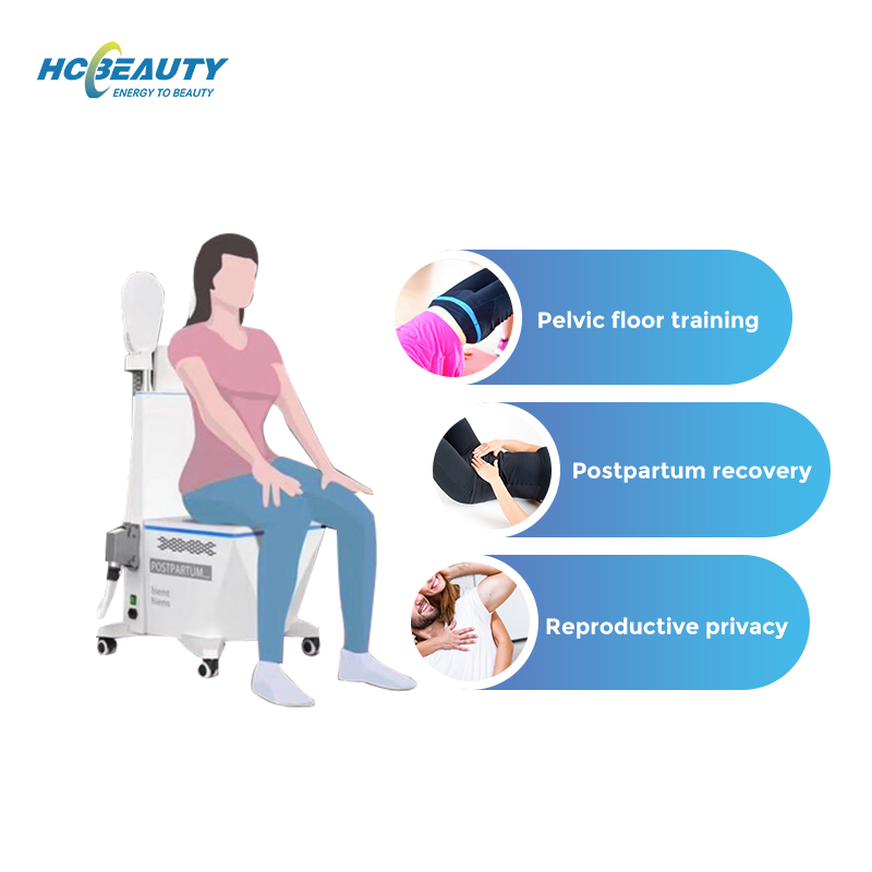 2 Handles HIEMT Body Conturing Noninvasive Fat Burning Ems Muscle Tighten Hiemt Chair for Postpartum Repair Pelvic Floor Muscle